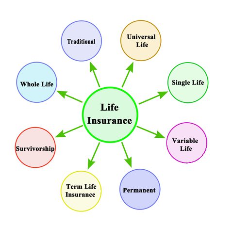  Term Life vs Whole Life vs Universal life