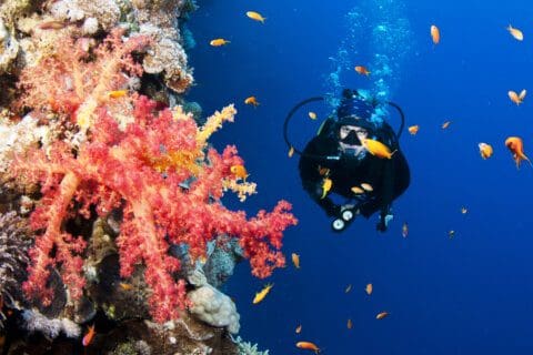 Life Insurance for Scuba Divers