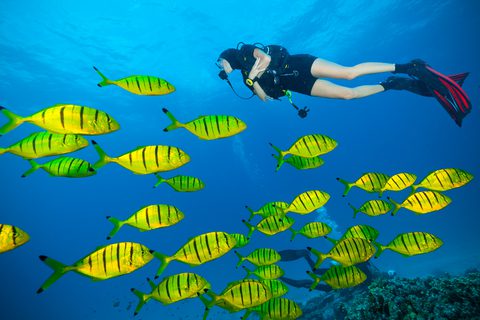 Scuba Diver Life Insurance Rates