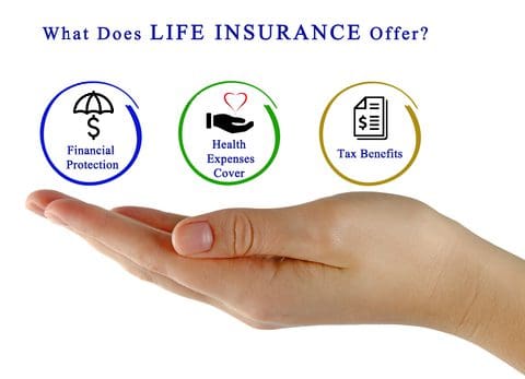 straight whole life insurance